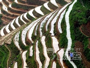 龍勝 龍脊 棚田 ハイキング 1日 ツアー